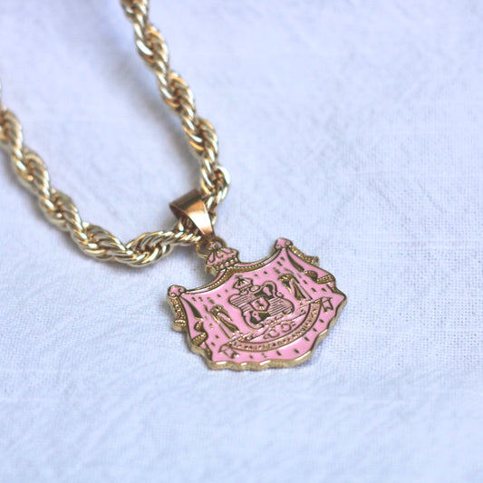 5mm 20 inch Rope chain with 1.5 inch Pink Coat Of Arms Pendant